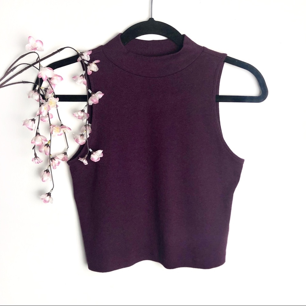 5/$25 H&M Divided Ribbed Purple Mock Neck Crop Top